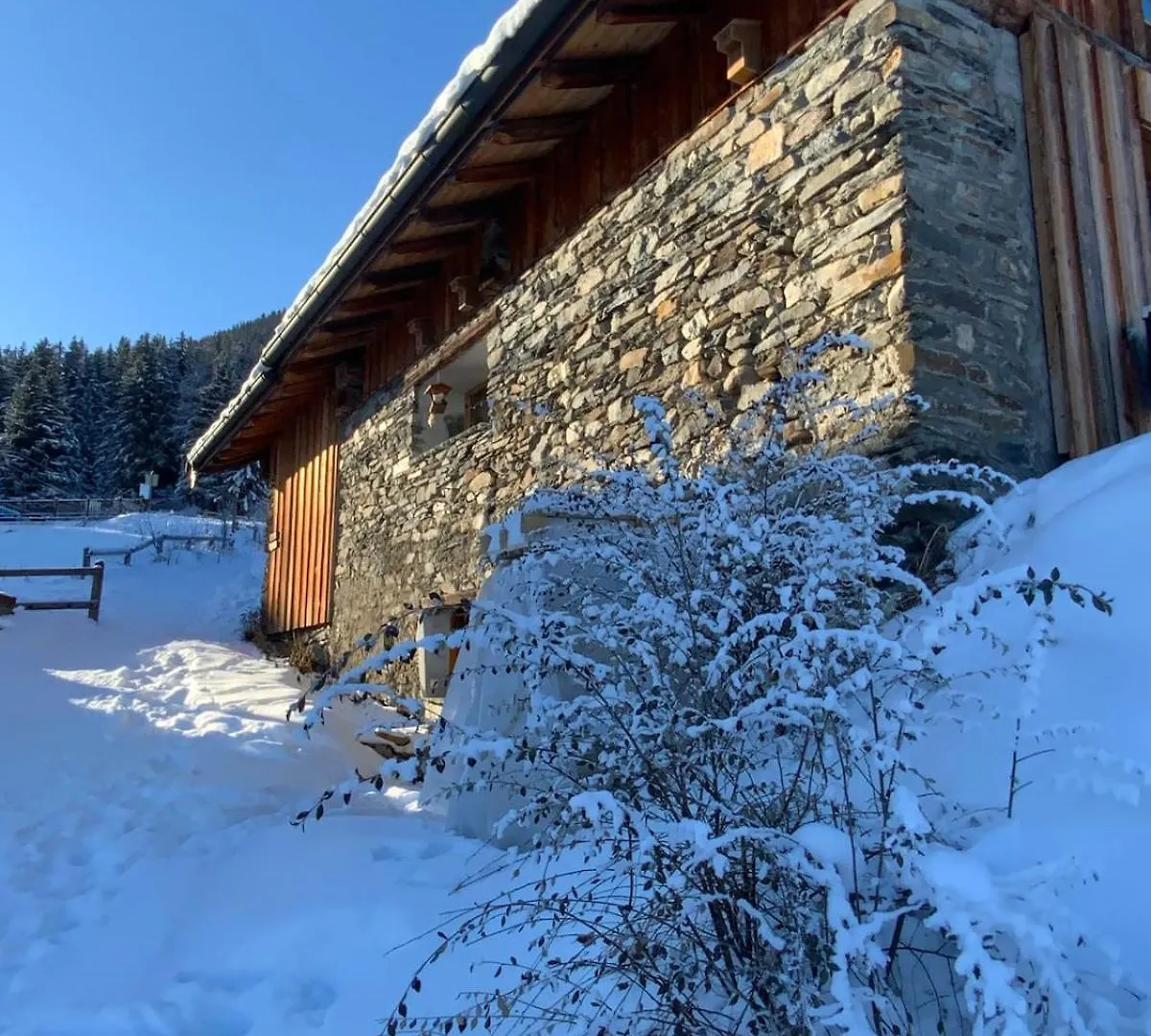 L'Alpage Des Pistes - Chalet Skis Aux Pieds A La Plagne La Plagne-Tarentaise